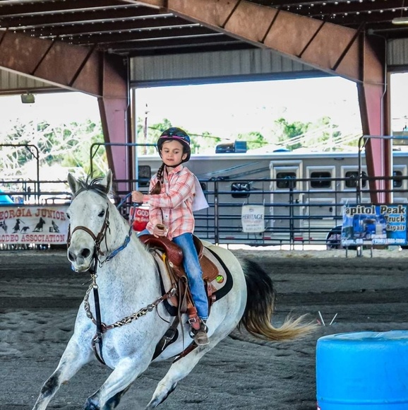 Meet your Posher, Sidney - Picture 1 of 1